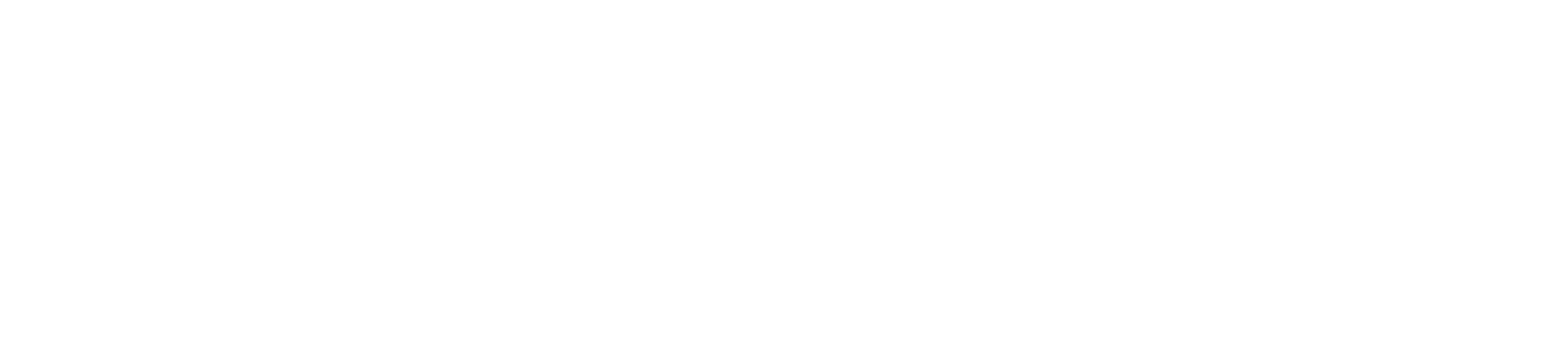 LOGO NEU mit Schrift und Bildmarke weiss-20